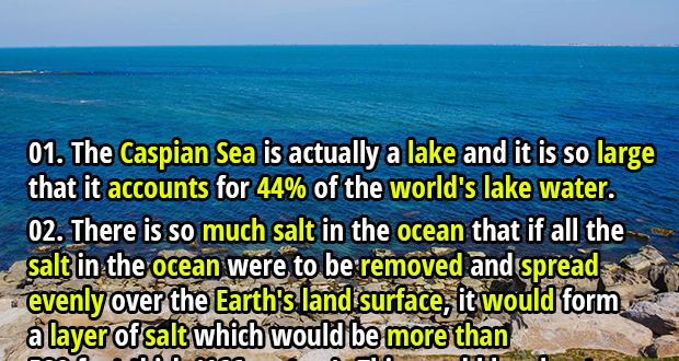 Interesting Facts About Seas And Oceans Fact Republic