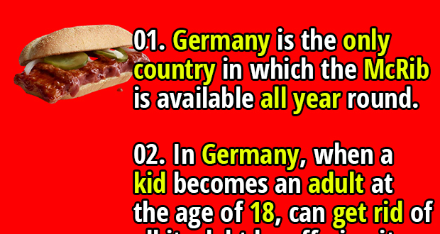 100 Interesting Facts About Germany Fact Republic