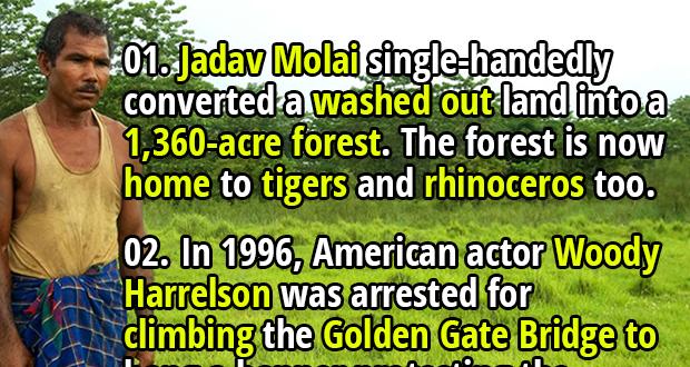 100 Interesting Facts About Forests Page 4 Of 4 Fact Republic