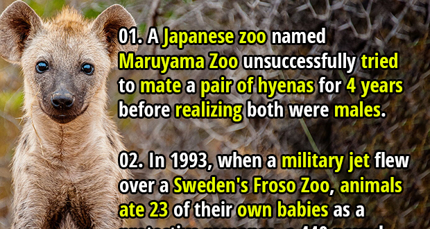 40 Adorable & Terrifying Facts about Zoo Animals - Fact Republic