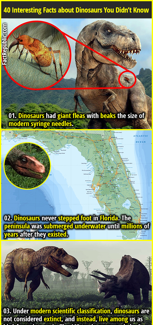 40 Dino Facts - Everything You Need To Know About Dinosaurs | Fact Republic