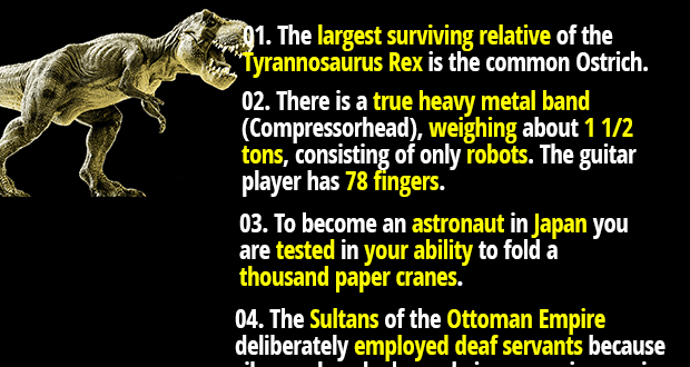 t rex fact