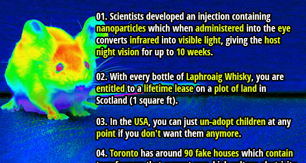 Random Revelations: Article #246- 36 Unbelievably True Random Facts to ...