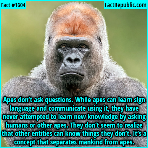 Fact Cards | Fact Republic - Where Facts Are Born | Picture Facts with ...