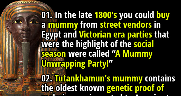 50 Creepy Facts About Mummies You Didn't Know - Fact Republic