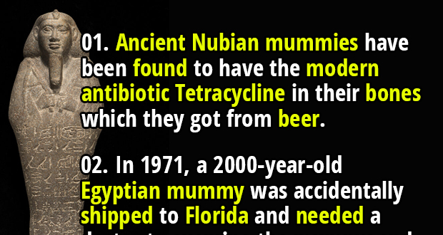 Wrapped in Mystery: 40 Fascinating Facts About Mummies - Fact Republic