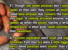 50 Surprising Facts About Vegetables You Probably Didn’t Know – Part 2