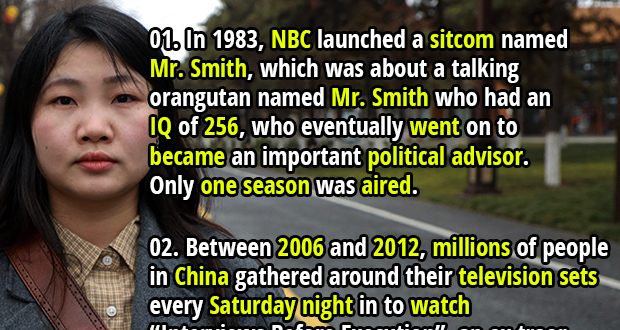 Televised Oddities: 25 WTF Moments and Weirdest TV Shows - Fact Republic