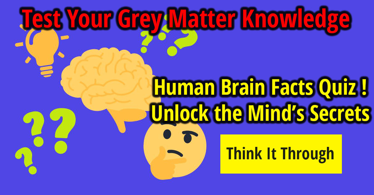 Human Brain Facts Quiz – Unlock the Mind’s Secrets - Fact Republic