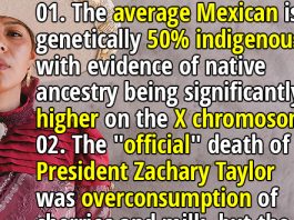 35 Random Facts You Probably Haven’t Seen Everywhere (Part 348)