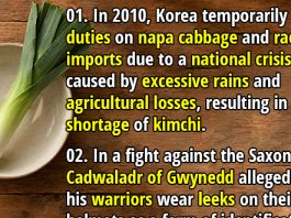 35 More Vegetable Facts You Probably Never Knew (Part 2)